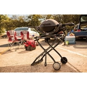 Weber Q-1200 Portable Gas Grill