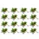 thumbnail image 1 of HEALEEP 16Ud Brazaletes Para Fiesta De Fútbol Con De Tinsel Para Animar, 1 of 7