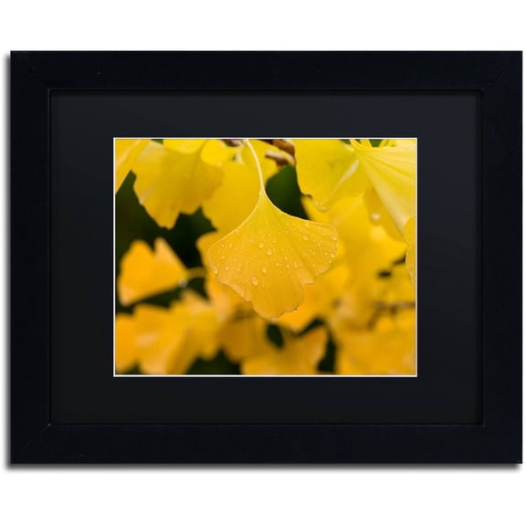 Trademark Fine Art "Ginkgo in the Rain" Canvas Art by Philippe Sainte-Laudy Black Matte, Black Frame