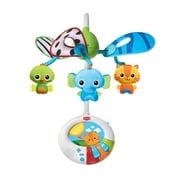 Dual Motion Developmental Mobile