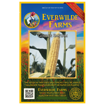 Everwilde Farms - 100 Golden Bantam Sweet Corn Seeds - Gold Vault Jumbo Bulk Seed (Best Plant Food For Corn)