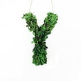 thumbnail image 1 of Modern Home 12" Real Preserved Boxwood Monogram Wreath Letters - Y, 1 of 2