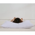 thumbnail image 4 of Almohada con tres gansos, plumas de ganso blanco, tamaño queen, estándar, x2, 4 of 6