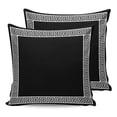 thumbnail image 7 of Outdoor Throw Pillow Cover Greek Art Inspired Waterproof Cushion Covers 2 Pack Abstract Monochrome Black White Pillow Cases Home Decoration for Patio Garden Couch Sofa, 7 of 7