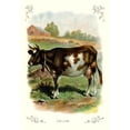 thumbnail image 3 of Unknown 14x18 Black Modern Framed Museum Art Print Titled - The Cow, 1900, 3 of 5