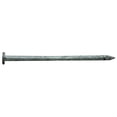 thumbnail image 1 of 16D x 3,5 Po Pro Nail Common Gal&44; 1 lbs, 1 of 1