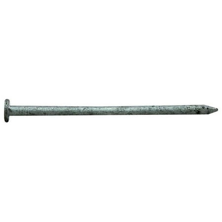 

16D x 3.5 in. Pro Nail Common Gal 1 lbs
