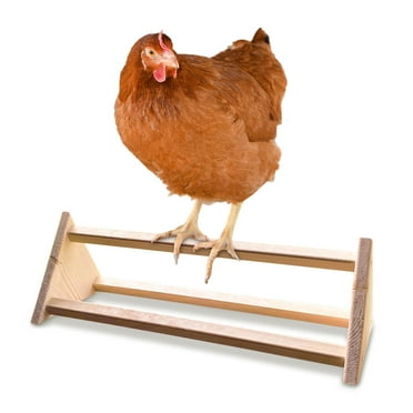 Chicken Perch Strong Wooden Roosting Bar Made in USA Solid Accessories and Toys for Coop and Brooder for Large Bird Baby Chicks Pollos Gallinas Polluelos Parrots by Backyard Barnyard