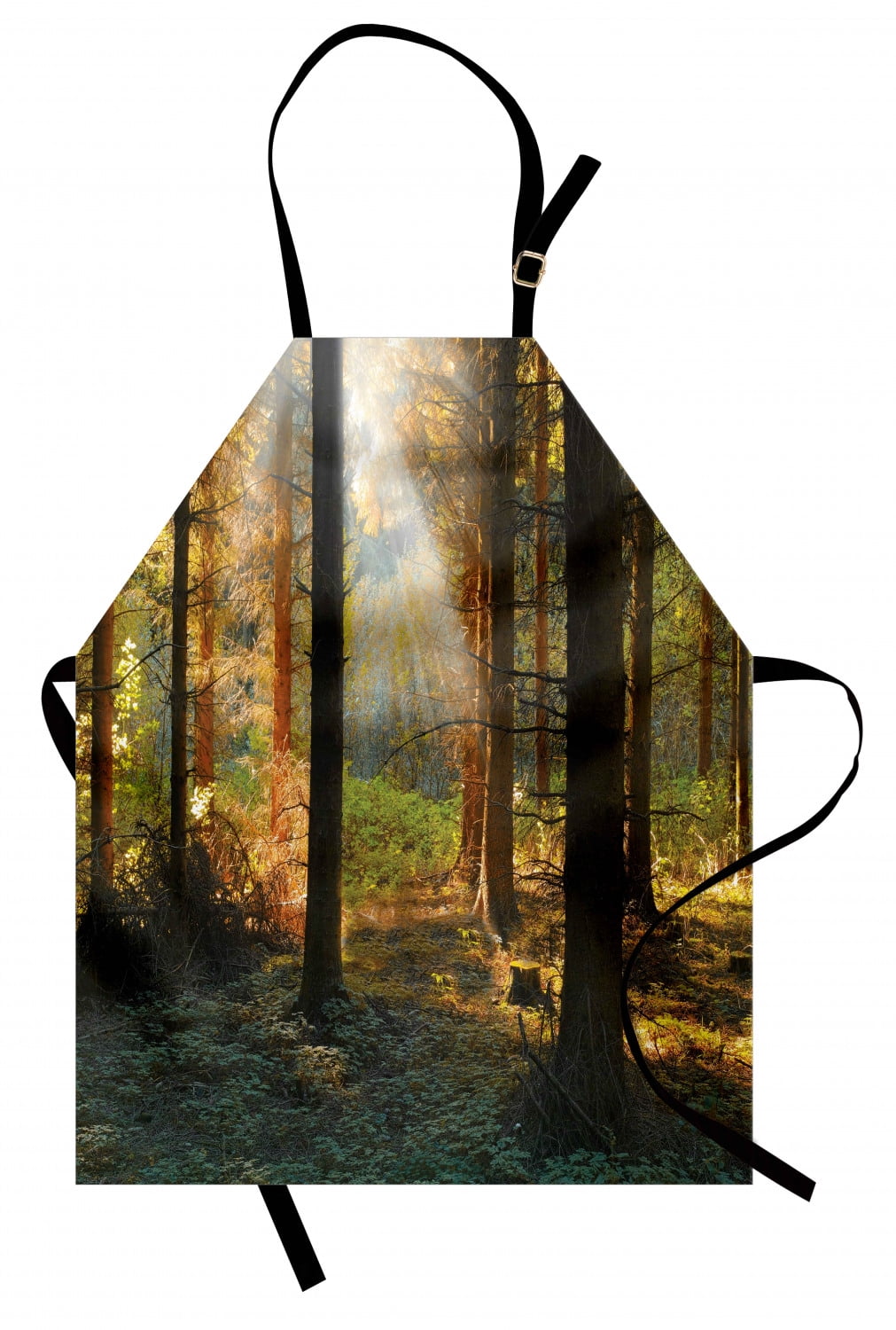 Forest Apron Sunset View of Dark Pine Forest in Autumn Foggy Scene with ...