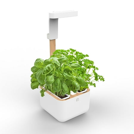 

Botaneo Eylo Garden Hydroponics Growing System Indoor garden w/LED grow light 2 Organic pre-seeded Lingots® refills included. Self irrigation w/ min water level mark.