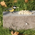 thumbnail image 6 of Suet to Go Pellets - Insect Bird Health 500g Case of 3, 6 of 6