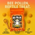 thumbnail image 2 of Alimento para Reptiles CTWPets Polen de Abeja 28g, 2 of 7