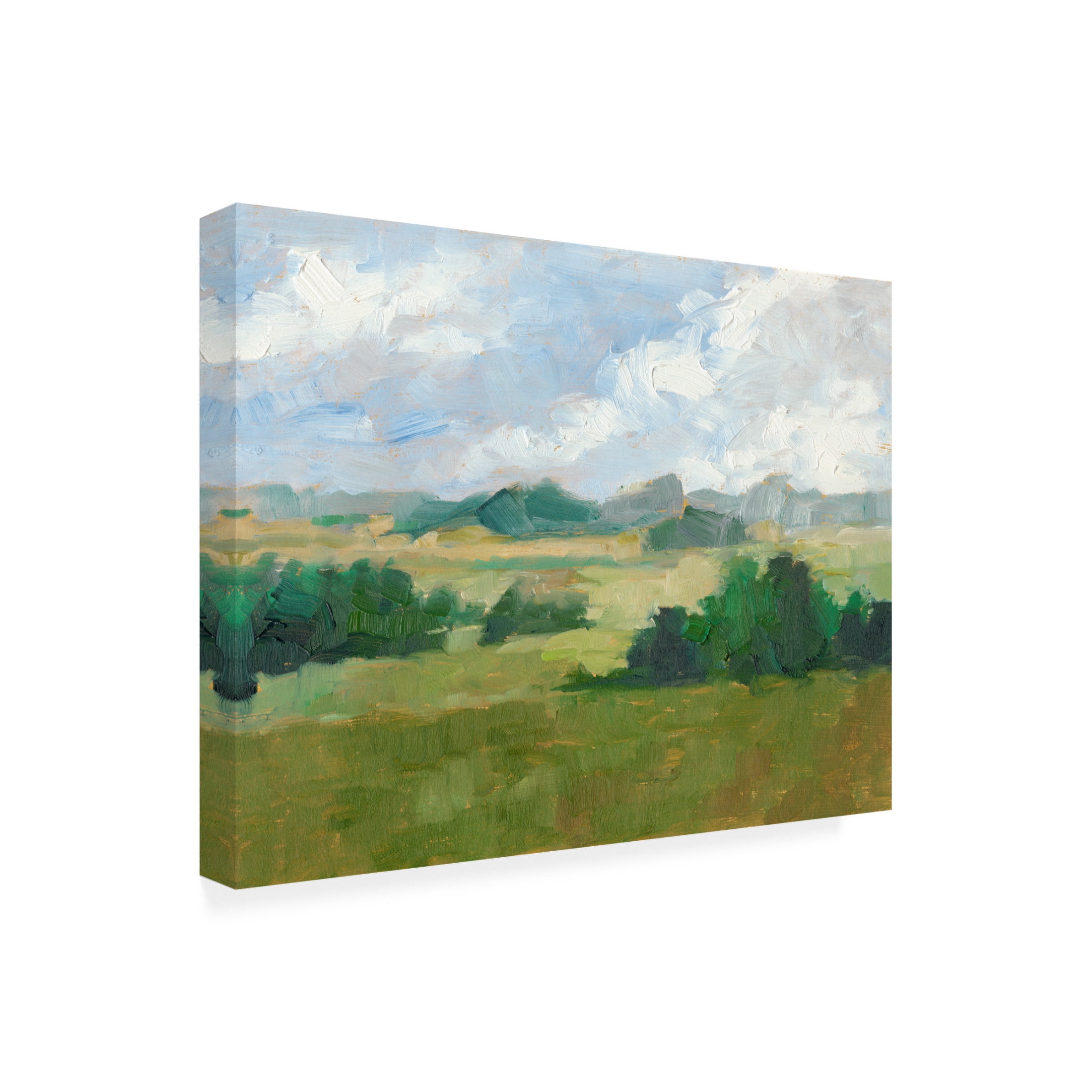 Canvas Wall Art - Ethan Harper 'Afternoon Shade II' Wall Art for Living Room, Bedroom, or Office Décor by Trademark Fine Art - 47 x 35 Inches
