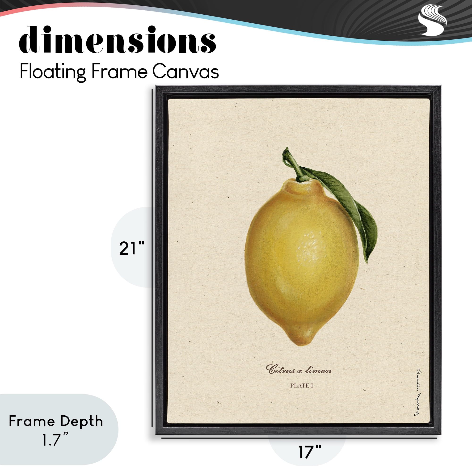 Stupell Industries Lemon Fruit Portrait Black Framed Floater Canvas Wall Art, design by Danielle Murray