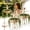 2pcs, variant on Ballet Dancer Hanging Planter, Dancing Lady Hanging Planter, Elegant Garden Decor for Porch & Patio