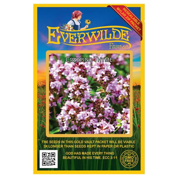 Planting Creeping Thyme