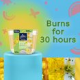 thumbnail image 2 of Glade Chandelle parfumée, Radiant Bloom™, 2 of 8