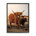 thumbnail image 2 of Stupell Industries Longhorn Highland Cattle Cow Warm Sunrise Morning Photograph Gray Framed Art Print Wall Art, Design by Dakota Diener, 2 of 5