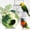 C, variant on dog bed Small Pet Breeding Bed Hut Conure House For Budgie Cockatiel Conure Lovebird Canary Hamster Small Pet