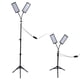 thumbnail image 3 of Luz LED para cultivo de plantas, lámpara de plantas regulable por USB, función de temporizador de espectro completo con trípode y control remoto para jardín e invernadero, 3 of 8