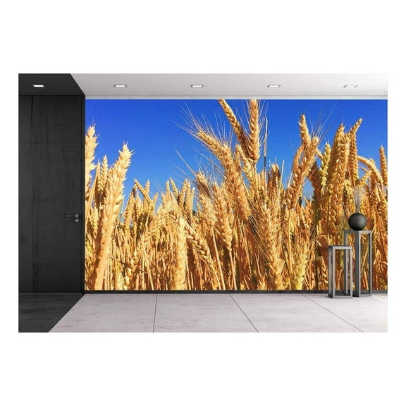 wall26 - Wheat Field Under Blue Sky - Removable Wall Mural | Self-Adhesive Large Wallpaper - 100x144 inches