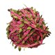thumbnail image 1 of 20 Metros Mimbre de Plantas Hojas para Puerta Naviadad, Nupcias Ornamneto de Pared Rosa Gloria Guirnalda artificial de la hoja de la hoja, 1 of 9