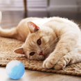 thumbnail image 3 of Yazoeia 12Pcs/Box Cat Toys Balls, Multicolor Cat Plush Toy Balls for Kitten Training and Play, Soft Interactive Kitten Plush Toys for Indoor Cats L CJB12-30488, 3 of 7