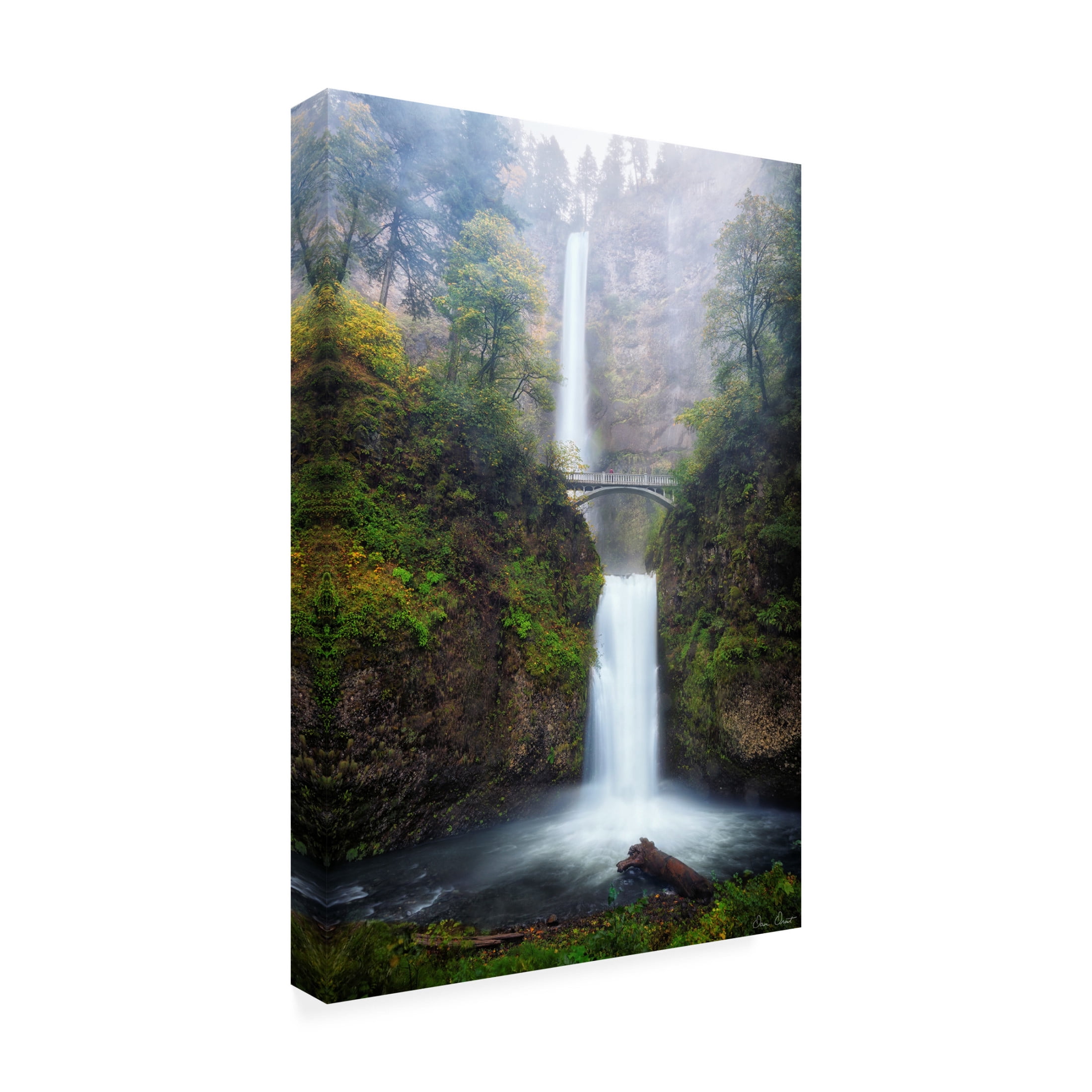 Trademark Fine Art David Drost Rapid Waterfall III Canvas Wall Art
