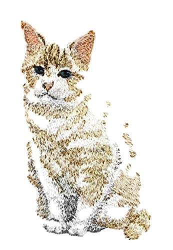 Amazing Custom Cat Portraits [Angle The Cat] Embroidered Iron On/Sew Patch (4.5" x 3.1") Made in USA