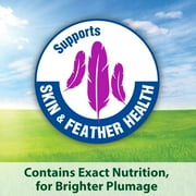 Kaytee Exact Rainbow Parrot & Conure, Pet Bird Food, 4 Pounds