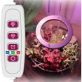 thumbnail image 4 of 1/2/3/4 Ring Small Plant Halo Grow Light with 8/12/16H Timer for Desk,Full Spectrum LEDs USB Mini Dimmable Grow Light for Indoor Umbrella Plant Seeds herb Growth(2 Rings), 4 of 7