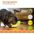 thumbnail image 4 of Catstages Crunchy Pickle Kicker Cat Toy – Plush Crinkle Toy with Catnip and Dental Mesh, 6.5", 4 of 10