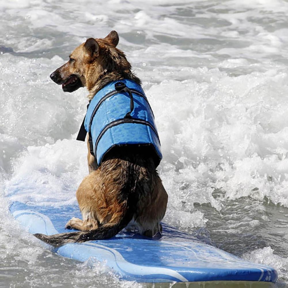 GabeFish Dog Life Jacket Vest Safety Clothes Collar Harness Saver Pet Swimming Preserver Reflective Strip Swimwear 