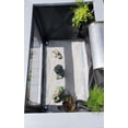 thumbnail image 3 of Air Stone Strip - 40 inch (Green & Blue) Pond Decor by Clear View  Garden Aquarium, 3 of 7
