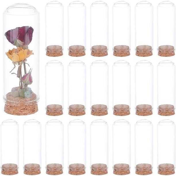 20 unidades de tarros decorativos con forma de cúpula de 3 x 8,6 cm (1,2 x 3,4 pulgadas), campana de cristal con base de corcho para almacenar flores, especímenes, manualidades y decoraciones.