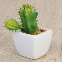 Lifelike Artificial Cactus Plant in Modern Cube Pot for Indoor Outdoor Decor Multi Color PVC 1 Piece