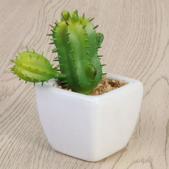Lifelike Artificial Cactus Plant in Modern Cube Pot for Indoor Outdoor Decor Multi Color PVC 1 Piece
