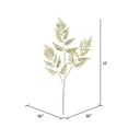thumbnail image 2 of Vickerman 42" Champagne Shiny Fern Artificial Christmas Spray. Includes 2 sprays per pack., 2 of 3