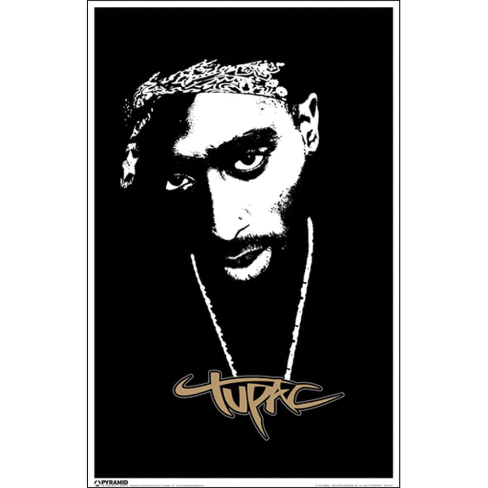 tupac albums download zip tupac albums download zip