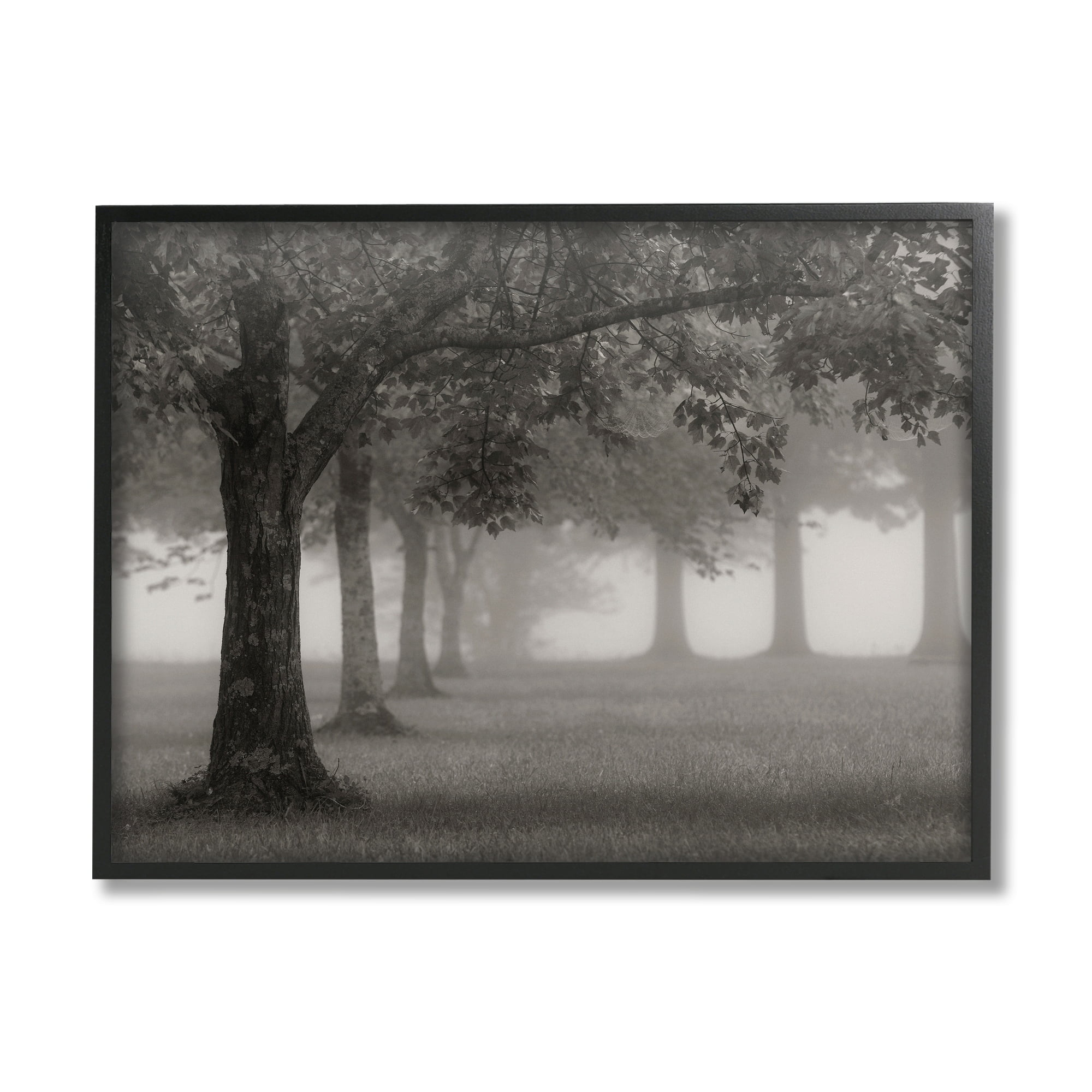 Stupell Industries Tranquil Foggy Trees Field Monochrome Design, 20 x 16, Design by Nicholas Bell