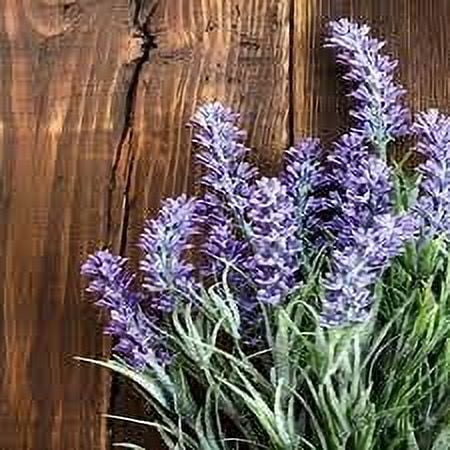 Lavender Sandalwood 32 oz Bottle for Candle Making, Soap Making, Tart Making, Room Sprays, Lotions, Car Fresheners, Slime, Bath Bombs, Warmers