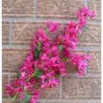 thumbnail image 4 of 10 pcs Silk Bougainvillea Fake bougainvillea spectabilis more Flower heads for Wedding Centerpieces Home Party Artificial Decorative Flower, 4 of 9