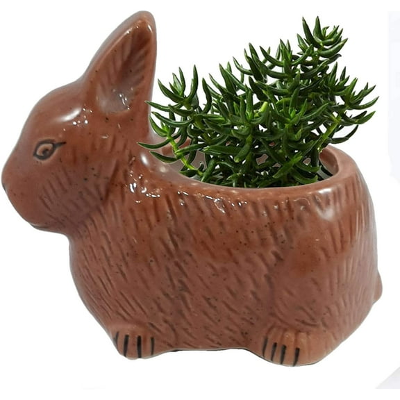 India Meets India Handicraft Ceramic Flower Pots Ceramic Planter Plant Pots Indoor Outdoor Planter, Best Gifting, Made by Awarded Indian Artisans