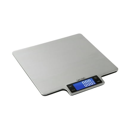 Taylor 22lb Stainless Steel Platform Kitchen Food Scale Gray