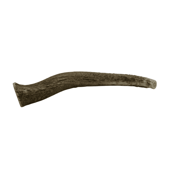 8-9" X-Large Whole Naturally Shed Elk Antler Dog Treats, 1 count