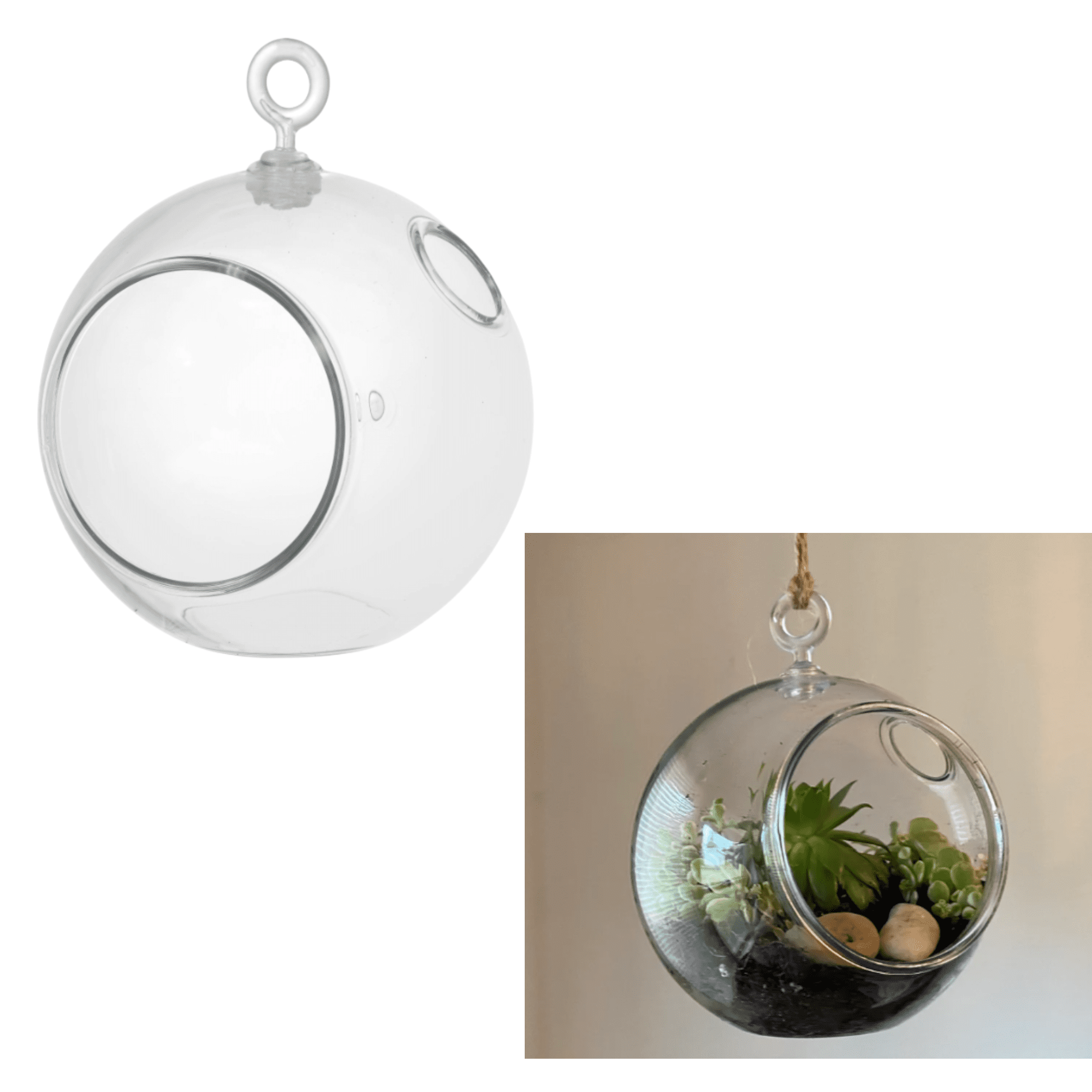 FSSTAM (2)Clear Plastic Terrarium Globes 4.5 in. Small Globe Stand or