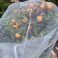thumbnail image 4 of Cubierta Transparente Antipájaros para Árboles Frutales Bonsái Frutas Y Verduras (80 Cm), 4 of 7