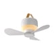thumbnail image 2 of Camping Fan Ceiling Fan Remote Control Silent USB Fan Indoor And Outdoor Mini LED Portable Fan, 2 of 6