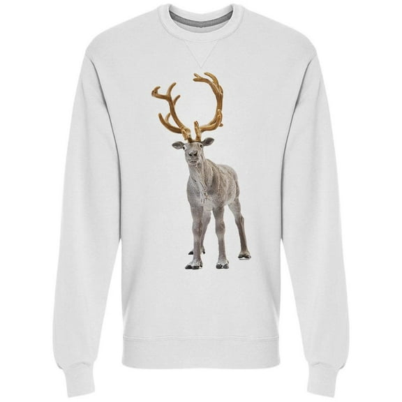 Santa Is Waiting For Me? Sweatshirt Men -Image by Shutterstock, Male Large