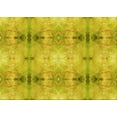 thumbnail image 1 of Ahgly Company Machine Washable Indoor Rectangle Transitional Golden Yellow Area Rugs, 2' x 3', 1 of 7